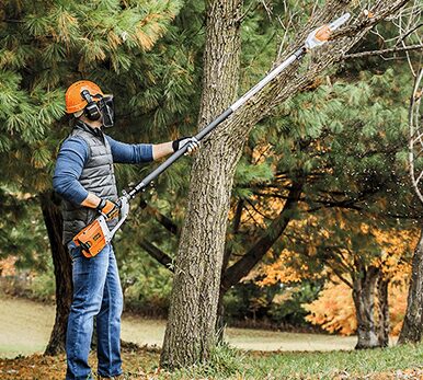 Arborist Reports